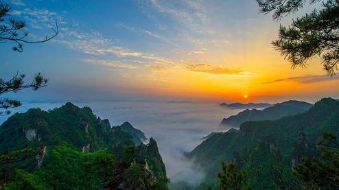 張家界森林公園（金鞭溪、袁家界、楊家界、天子山、十里畫廊）住山上2天1游（可看日出）